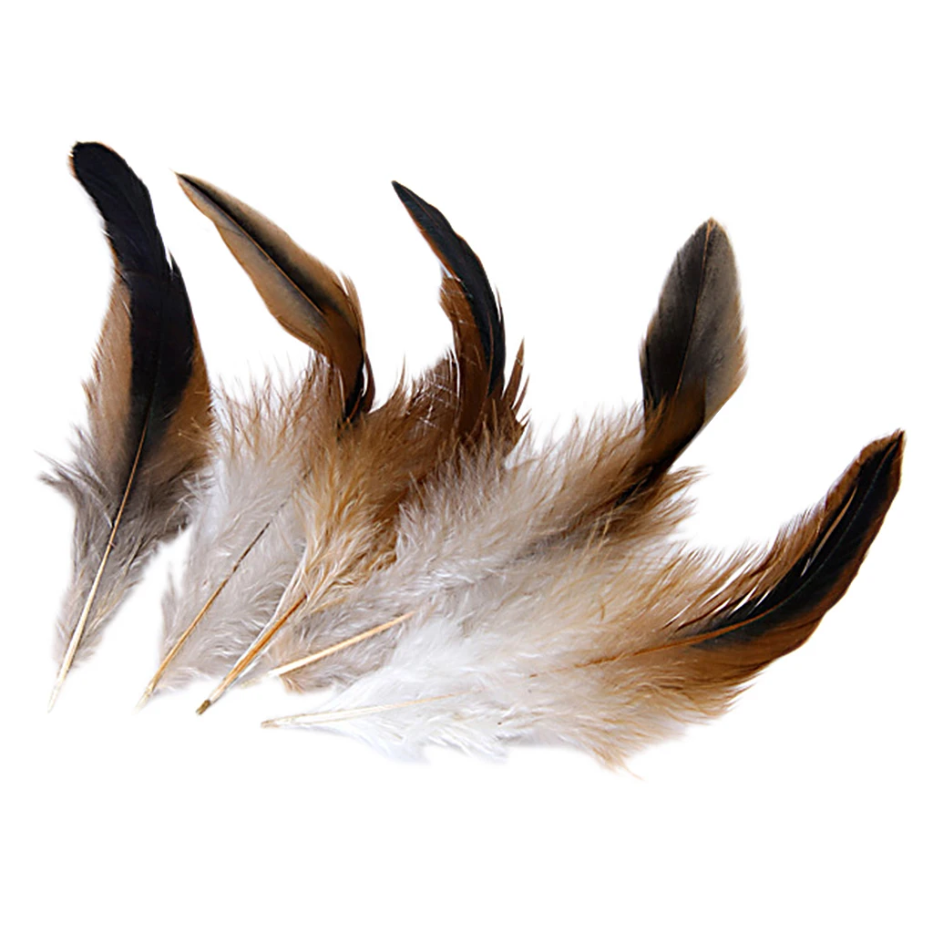 50PCS Natural Decoration Cock  Feather Idea For Costumes, Hats, Home