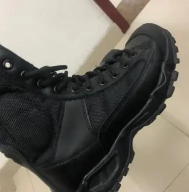 36020190301231517166
