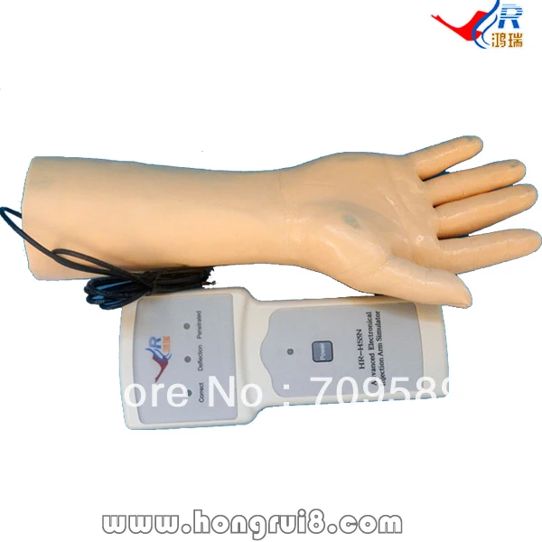 ISO IV Training Hand, Venipuncture Hand Model , IV Injection training model цена ISO IV Training Hand, Venipuncture Hand Model , IV Injection training model цены онлайн