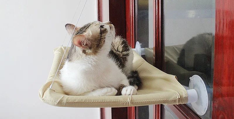 Гигантская установленные окном кошка кровать гамак диван Коврики лежак окунь Подушки подвесная полка сиденье с присоской для хорька Шиншилла