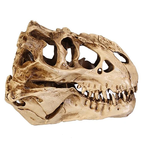 ZOOYOO изделия из смолы, череп динозавра, окаменелый, обучающая модель скелета, Хэллоуин, домашний офис, Хэллоуин, украшение, Прямая поставка