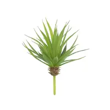 Buy indoor floor plants and get free shipping on AliExpress.com Buy indoor floor plants and get free shipping on AliExpress.com