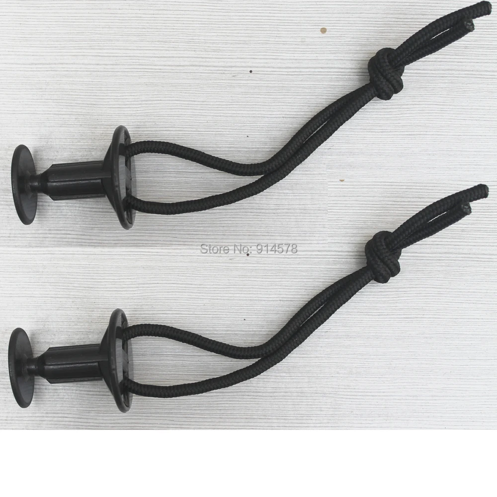 leash plug.jpg