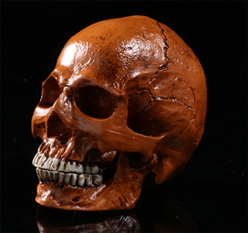 Человека. черепа модель медицинского моделирование учебного оборудования смолы череп орнамент подарок YTTG006
