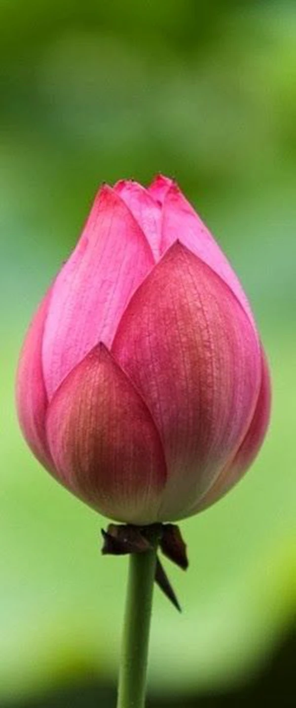 b683e0b12587630cde812b1c634ec26f