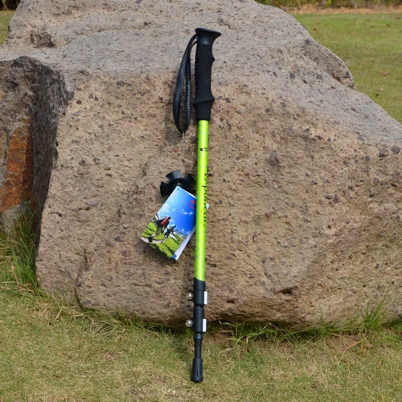 8019 (1)