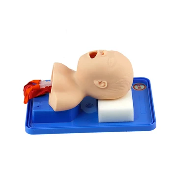 

Neonatal tracheal intubation model human intubation teaching simulation model