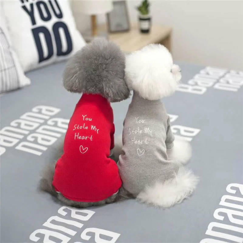 puppy dog clothes winter (2)