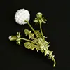 Peinture verte, femme, pissenlit antique, ornements de poitrine, accessoires de vêtements, ornements d'épingles, broches ► Photo 1/3