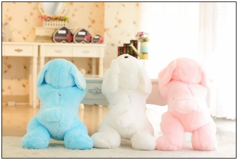 conew_aa9219-6