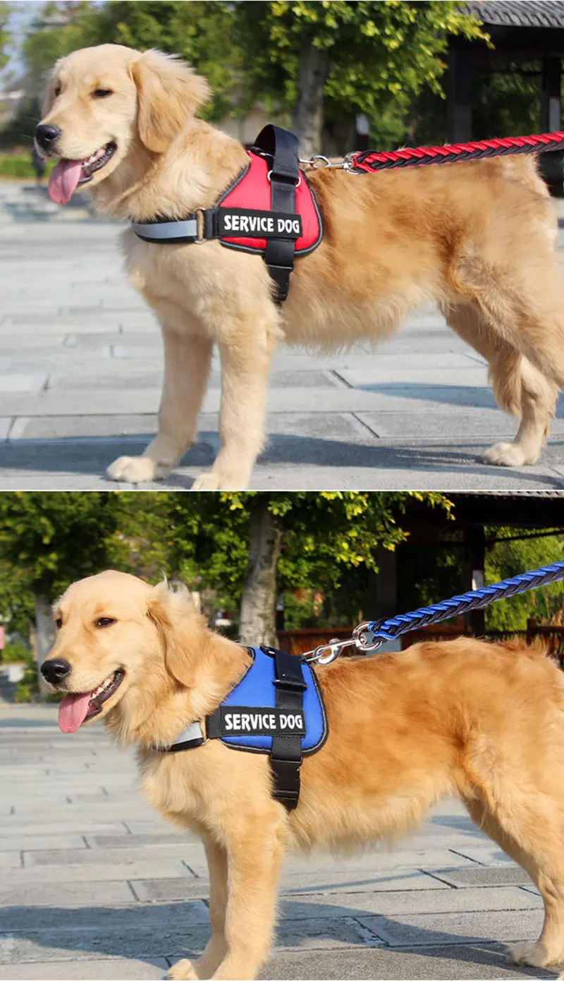 Pet products for dogs