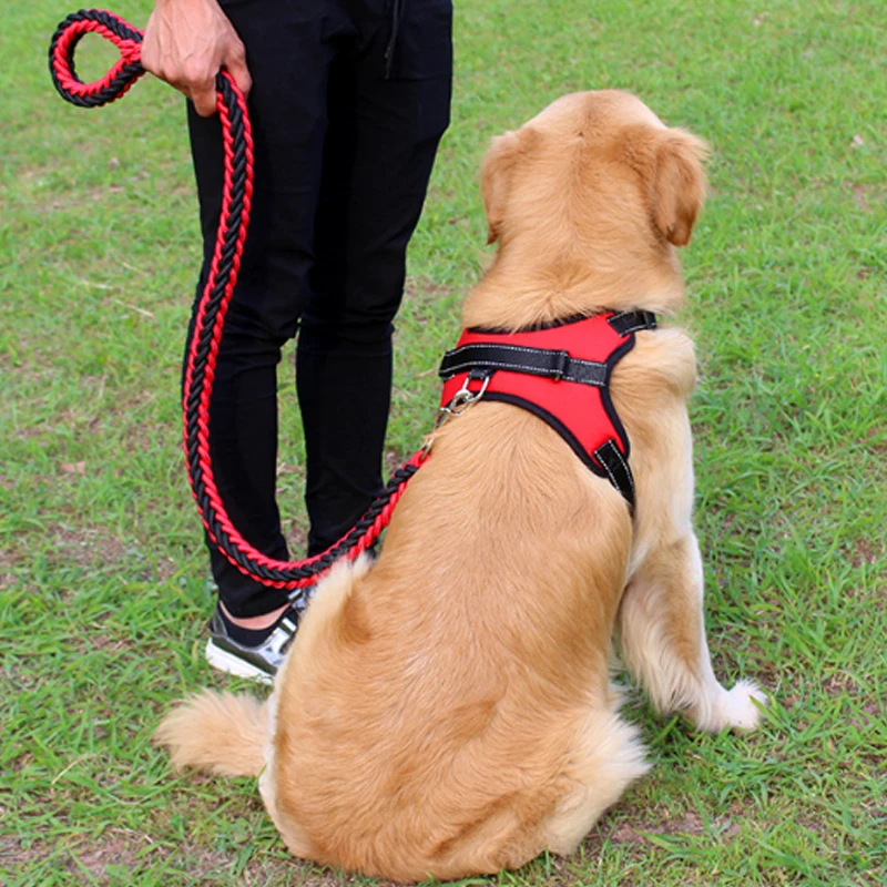 2 Sets Solid Nylon Traction Rope For Medium Large Dog Pet Harness and