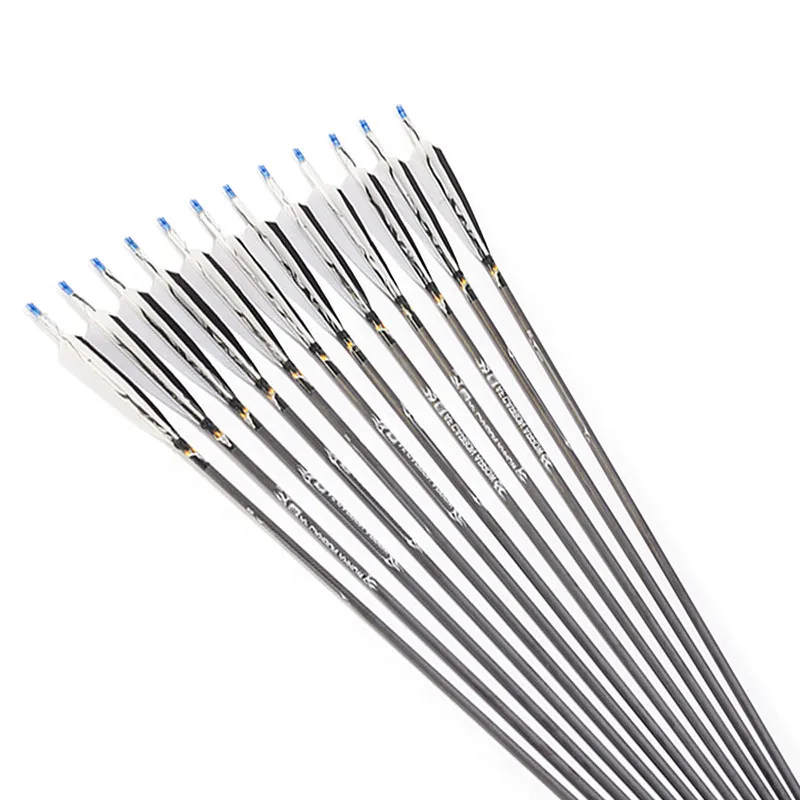 10Pcs 31" Archery Carbon Arrow Spine 500 Pure Carbon Arrows With Turkey Feather For Bow Outdoor Training Shooting Accessories