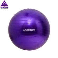 Blue Purple Yellow Pink 55cm Yoga Ball Exercise Equilibre Pilates Women Fitness Ball Lenwave Brand