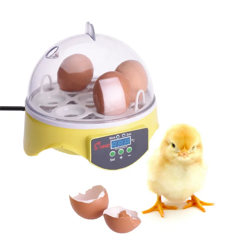 New Mini 7 Egg Incubator Poultry Incubator Brooder Digital Temperature Hatchery Egg Incubator Hatcher Chicken Duck Bird Pigeon New Mini 7 Egg Incubator Poultry Incubator Brooder Digital Temperature Hatchery Egg Incubator Hatcher Chicken Duck Bird Pigeon