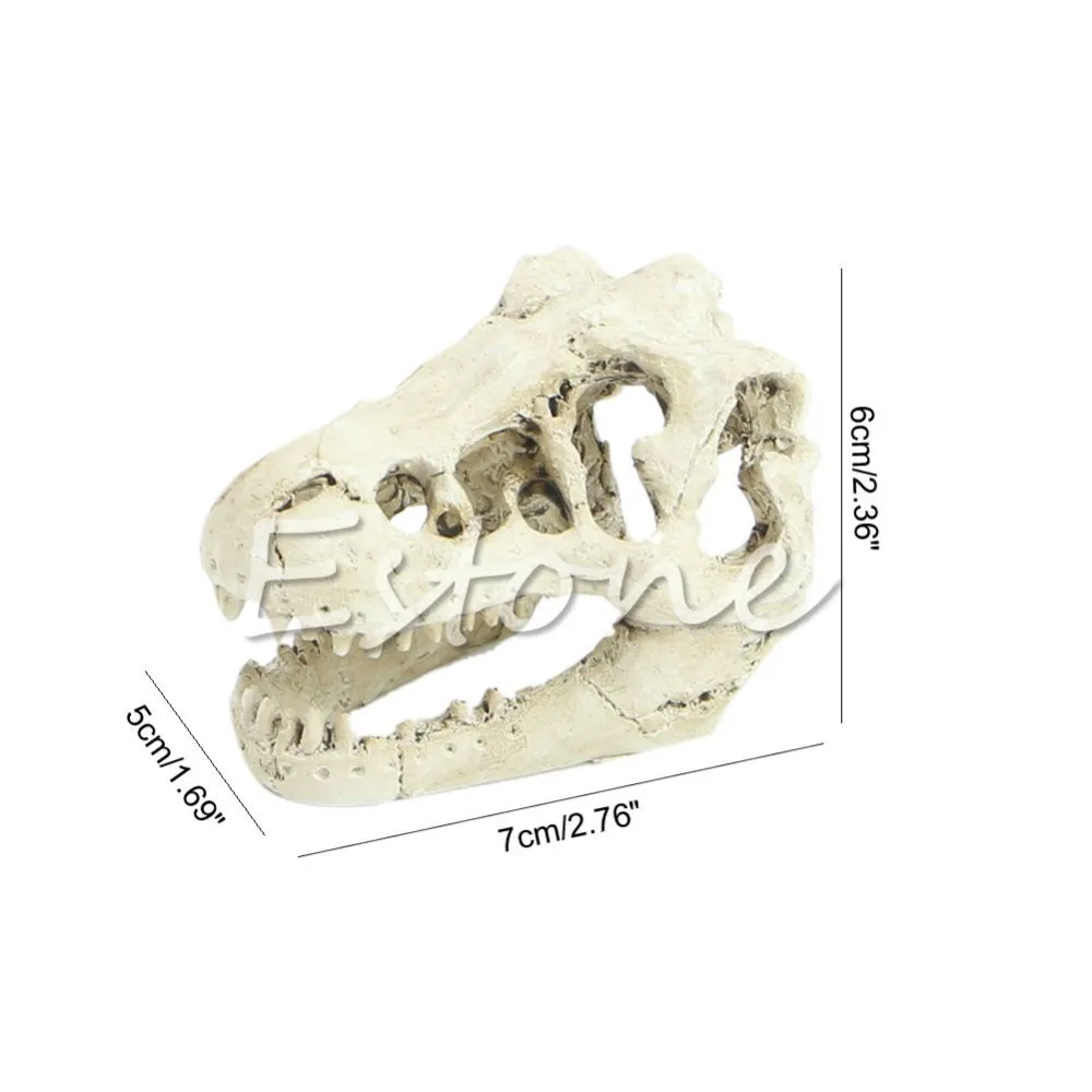 1 шт. стиль реалистичный тираннозавр масштаб череп динозавра модель коллекционный аквариум, декоративный орнамент