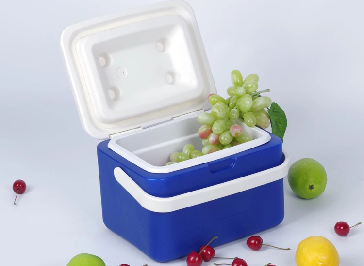 picnic ice bucket