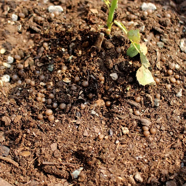 100 G Diamónium -Foszfát Dap Növény, Gyümölcs-, Zöldség- És Virágnövények, Általános Szerves Trágya Összetett Műtrágya Rózsa - Image 2