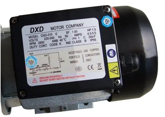 DXD-315E 220 V~ 50 hz 1.5HP насос для горячей ванны& Спа насос& Ванна насос