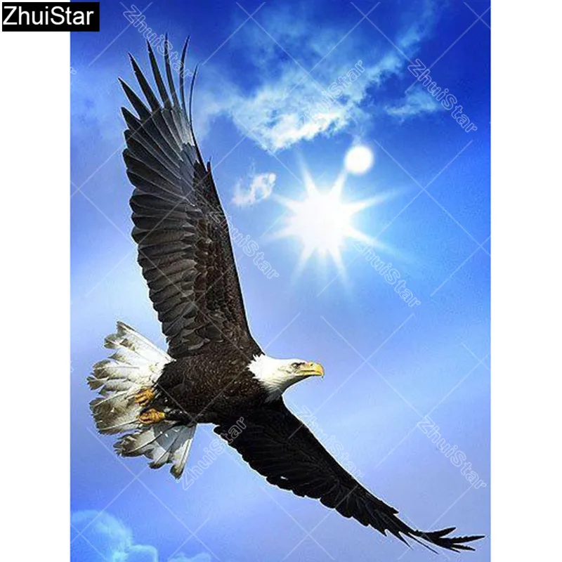 Zhui Star полная квадратная дрель 5D DIY алмазная живопись "Летающий орел" 3D вышивка крестиком Стразы Мозаика Декор