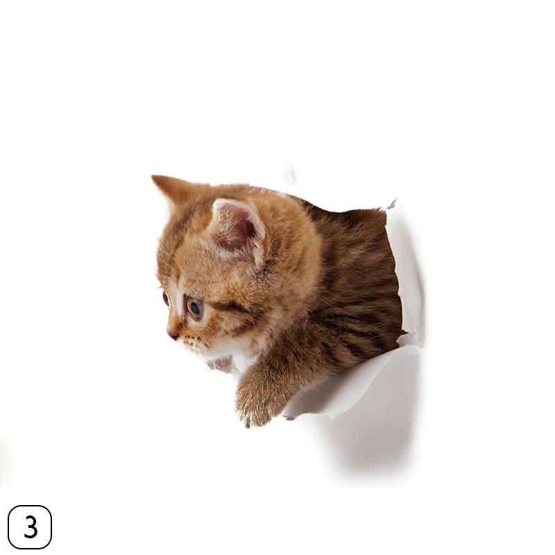 267554_no-logo_267554-2-03