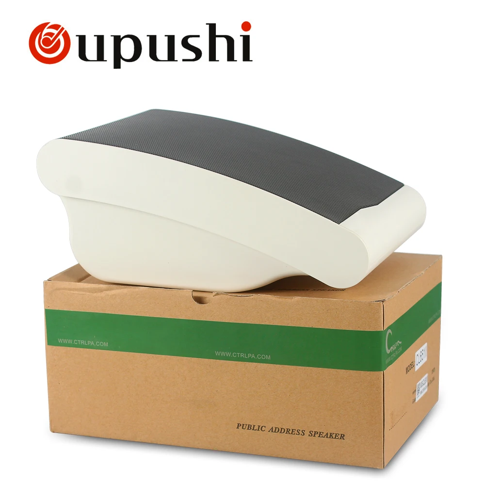 Oupushi Public Address System 110V Classroom Wall