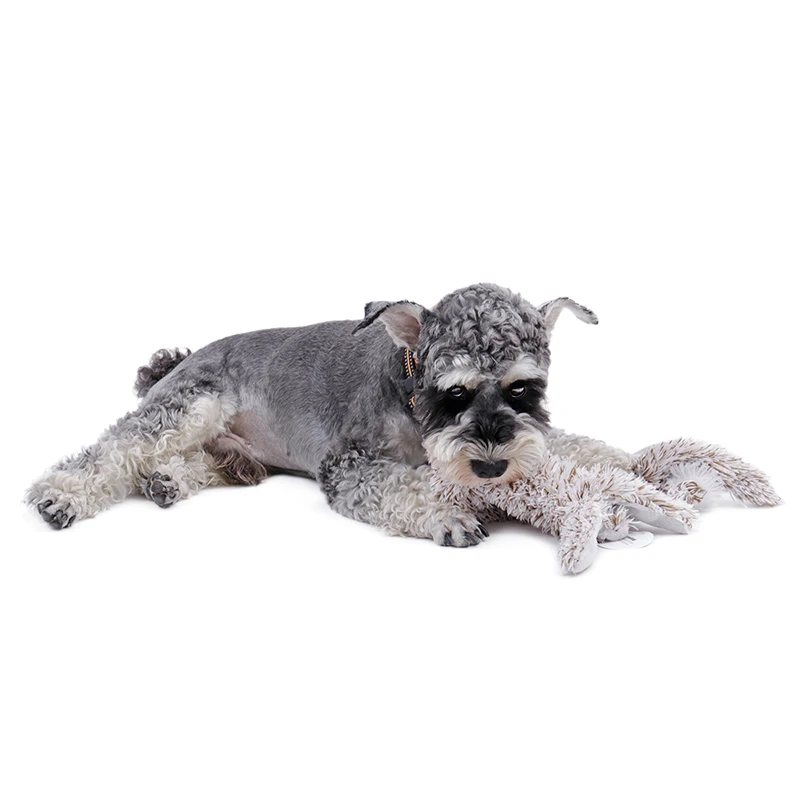 TB28UF9zxhmpuFjSZFyXXcLdFXa_!!2193552176