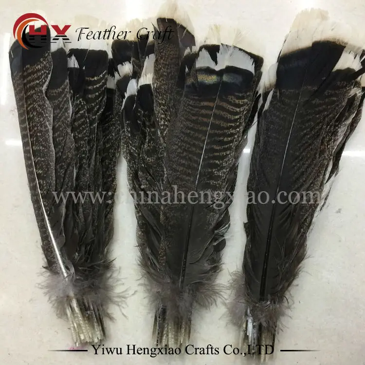 Online Buy Wholesale eagle feathers from China eagle feathers