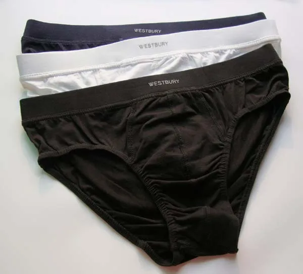 Westbury male triangle panties 100 cotton mid waist plus size male