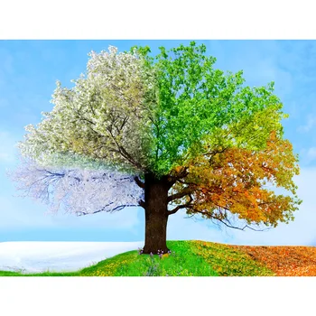 

DIY 5D Full Diamond Painting Cross Stitch 4 seasons tree Diamond Embroidery Needlework Patterns Rhinestone kits