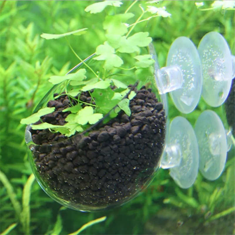 Buy Free Shipping Aquarium Plants Pots Aqua plant