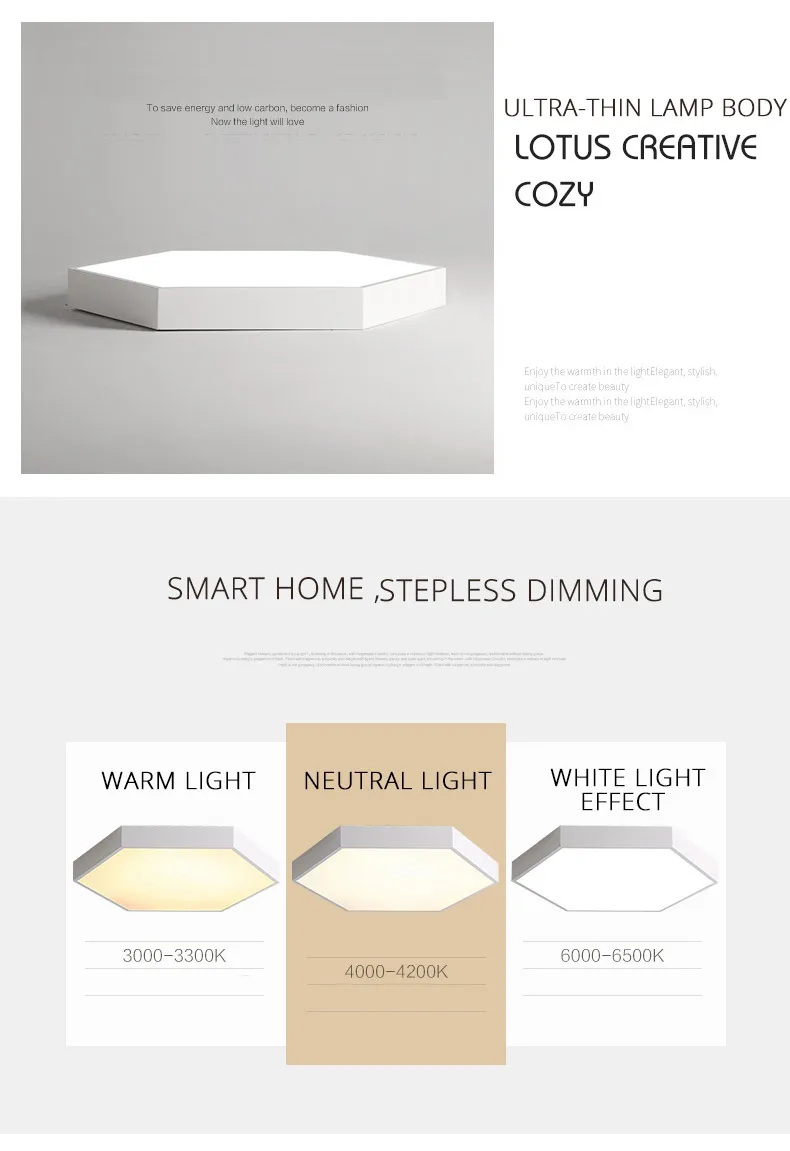 DX Ultra-Thin Hexagon Ceiling Lights (4)