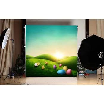 

Easter Backgrounds Eggs Spring Grass Meadow Flowers Photo Background Sunset Photography Backdrop For Newborn Children Photo Prop