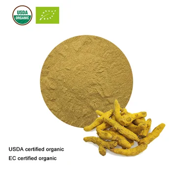 

USDA and EC Certified Organic Turmeric Root Extract 10:1 Turmeric Extract Curcumin