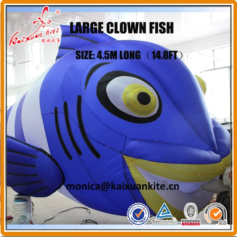 Blue Clown fish