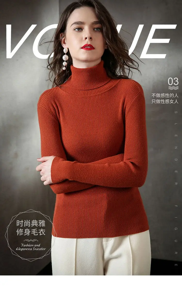 

Thick Turtleneck Warm Women Sweater Autumn Winter Knitted Femme Pull High Elasticity Soft Female Pullovers Sweater cashmere