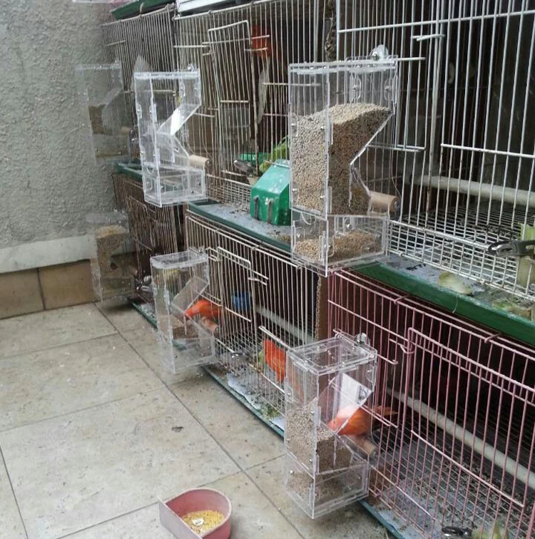 Корм для птиц No Mess кормушка попугай еда чаша кормления заводчик канарский Cockatiel