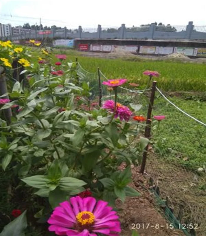 2 м * 5 садовая сетка для домашних животных см см|fence garden|green garden fencepoultry fence |