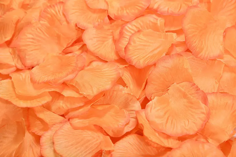 2382-30-10pcs-Orange Watanabe-