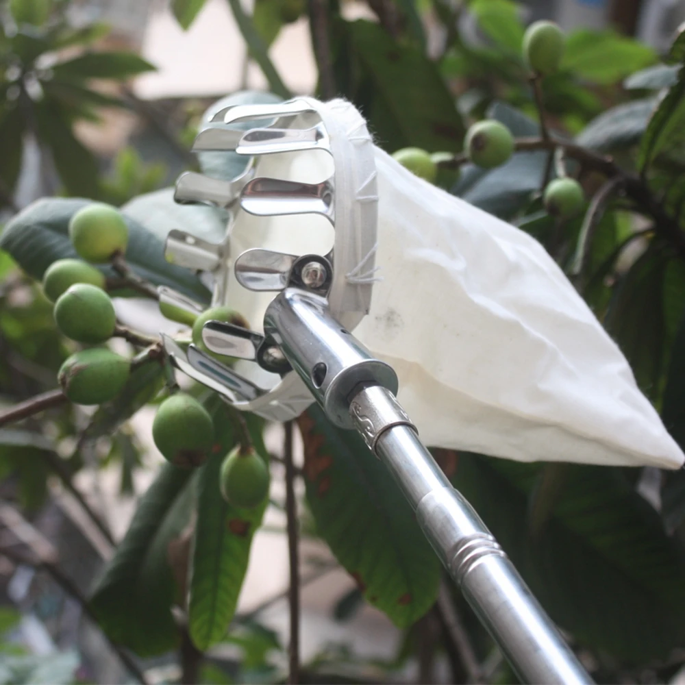 

Metal Fruit picker Convenient Horticultural Fruit Picker Gardening Apple Peach Picking Tools