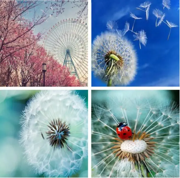 

Hot Sale 5D Full circular Diamond Painting cute Dandelion flower picture of rhinestone Embroidery