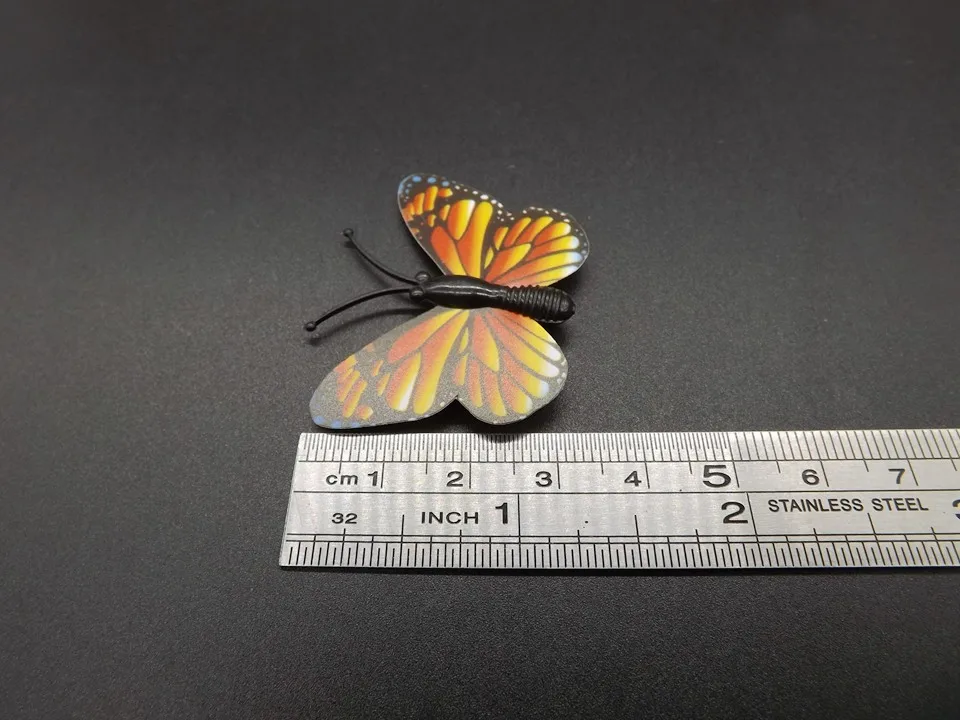I258-Butterfly (11)