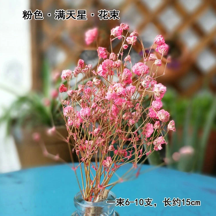 CHUANGGE материал для изготовления свечей сухие цветы воск для ароматерапии декоративный цветочный Декор для дома - Цвет: Gypsophila paniculat
