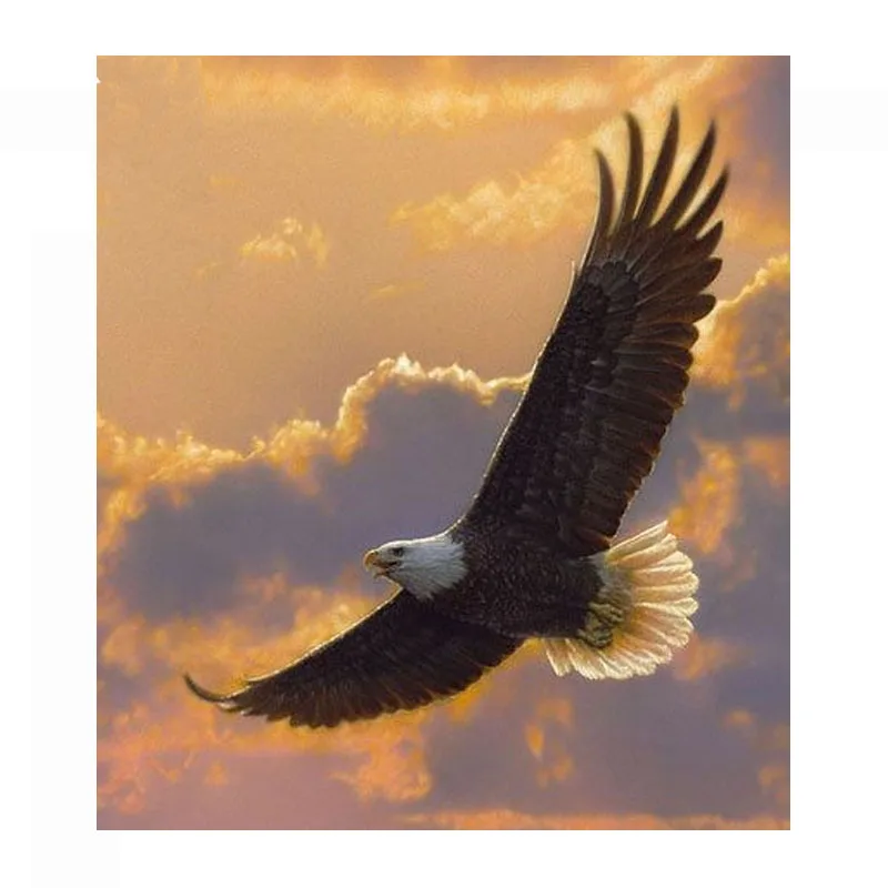 DIY Chart Counted Cross Stitch Patterns Needlework Majestic Flight