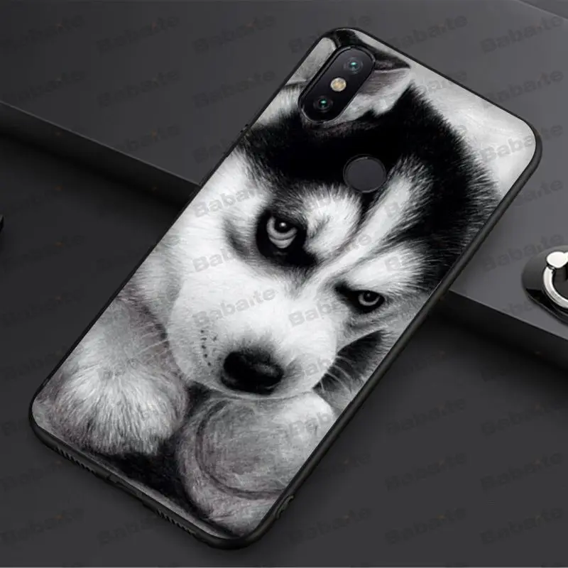 Animal Husky cute Puppy Dog