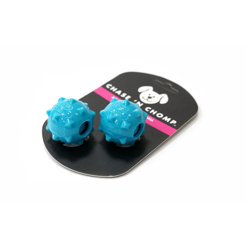 CAITEC Dog Toys Mini Squeaking Ball Soft Floatable Springy Great for Tossing and Chasing Best for Mini or Small Dogs
