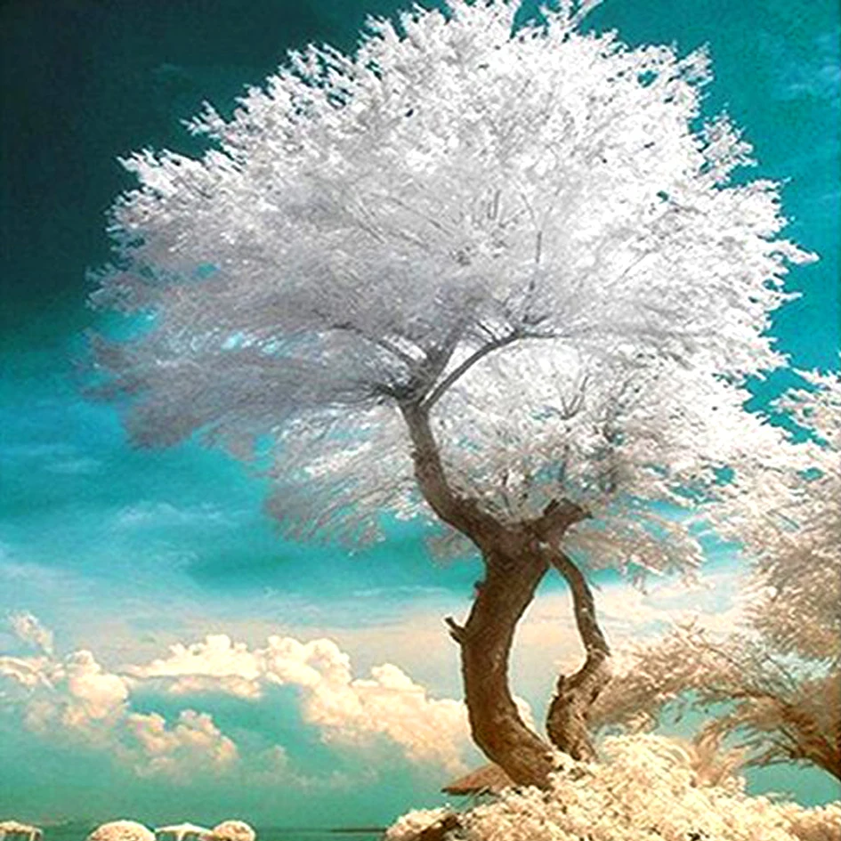 30*30cm White Tree Rhinestone Painting Crystal Home Decoration DIY 5D