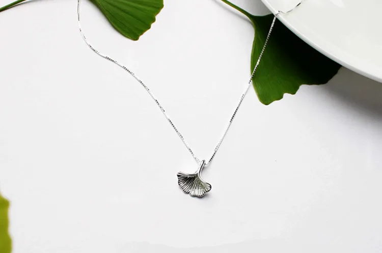 10115677388_1039125567