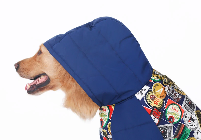Köpek Montu