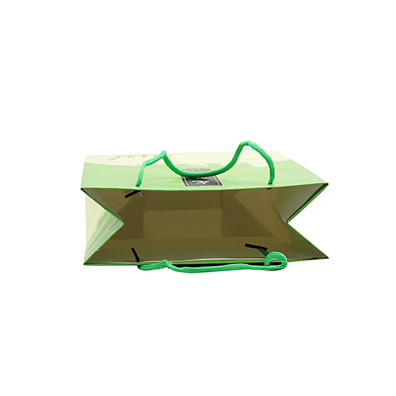 paper bag (6)